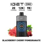 IGET ONE 12000 Puffs - Image 20