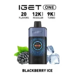 IGET ONE 12000 Puffs - Image 19