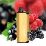 ALIBARBAR 9000 Puffs - Image 16