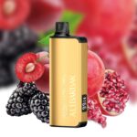 ALIBARBAR 9000 Puffs - Image 20