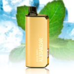 ALIBARBAR 9000 Puffs - Image 9