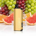 ALIBARBAR 9000 Puffs - Image 4
