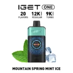 IGET ONE 12000 Puffs - Image 8