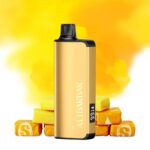 ALIBARBAR 9000 Puffs - Image 6
